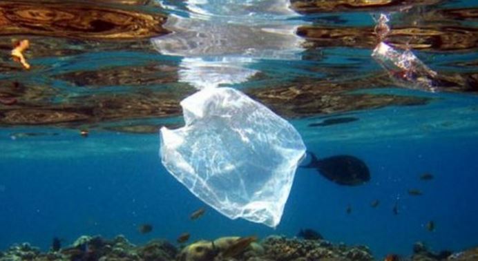 ban plastic 